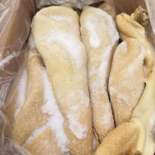 郑州牛大肚 牛肚