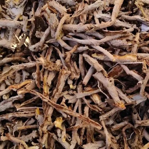 大荔县地骨皮