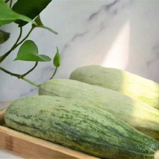 莱西市山东羊角蜜瓜春天的第一口甜瓜