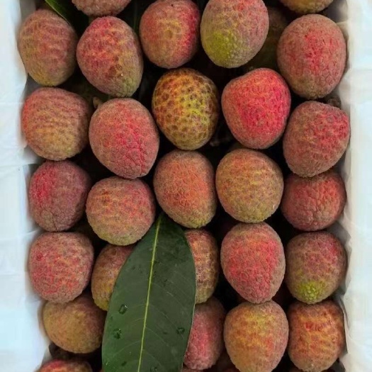 遂溪县白糖罂