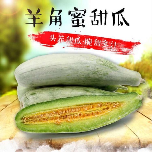 沭阳县善甜羊角蜜种子正宗羊角蜜甜瓜早熟大果蜜瓜脆甜抗病高产香瓜种籽