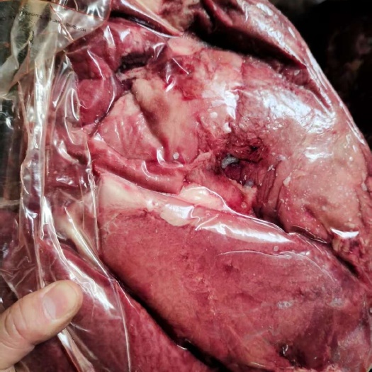 苏州新西兰银蕨去骨鹿肩肉/鹿网肩肉(鹿肉)