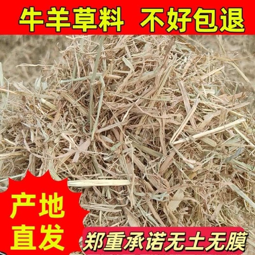 怀远县稻草 撕碎风选小包稻草 无土无杂水份14以内 颜色黄绿