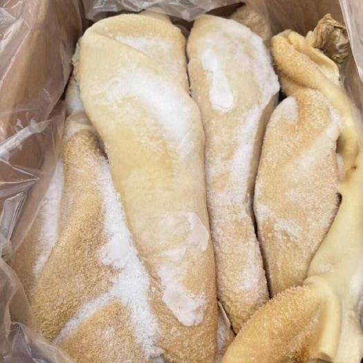 郑州牛肚