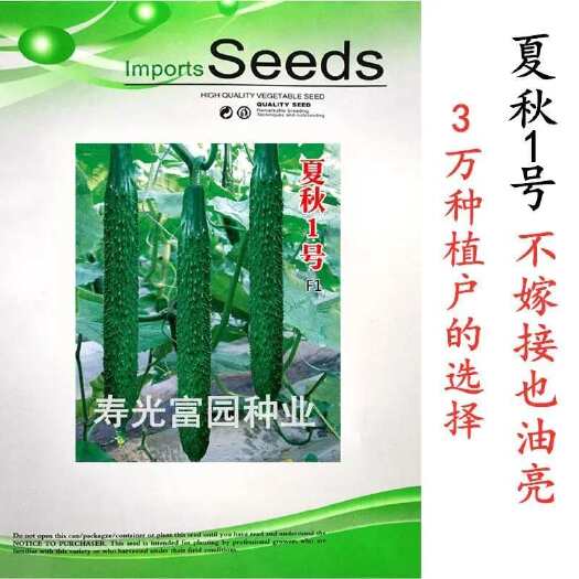 寿光市【夏秋1号】黄瓜种子，密刺黄瓜种子，耐热黄瓜种子，强雌黄瓜种