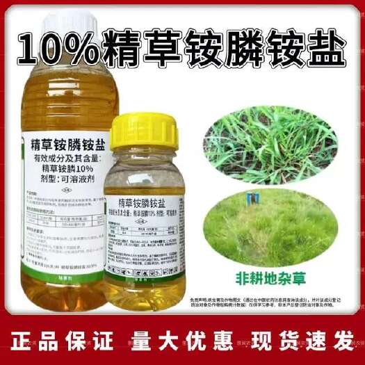鄄城县麒丁10%精草铵膦铵盐除草剂牛筋草小飞蓬除草专用果园茶园非耕