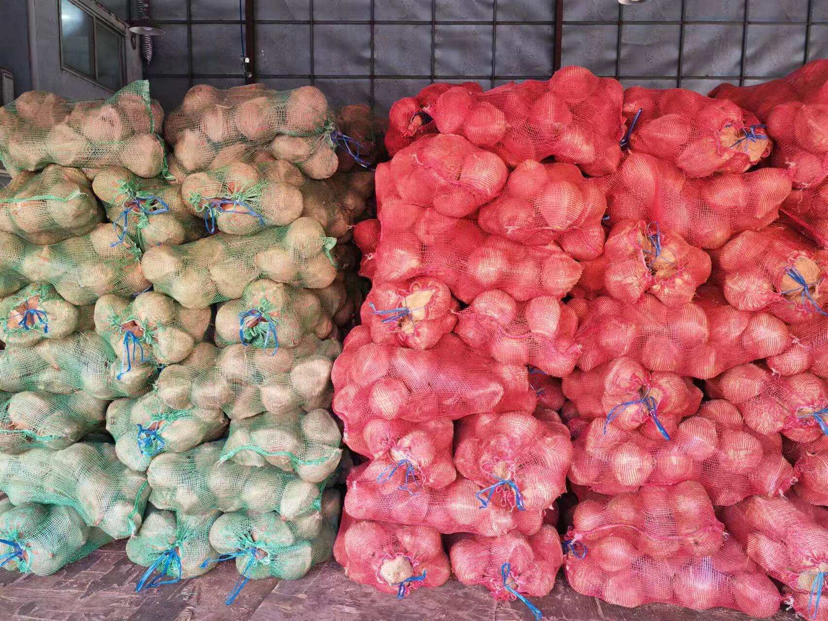 越南毛椰、老椰子，椰果新鲜货源充足。