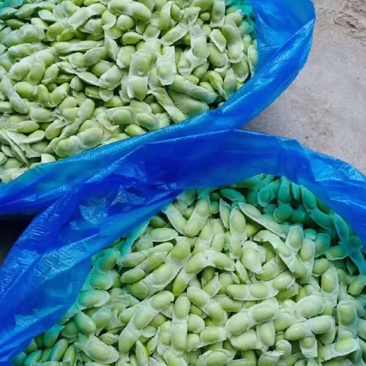批发零售毛豆豌豆蚕豆及豆米