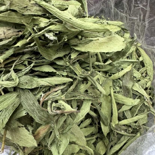 玉林无硫烘干甜叶菊茶大叶青绿甜叶菊产地一手货源