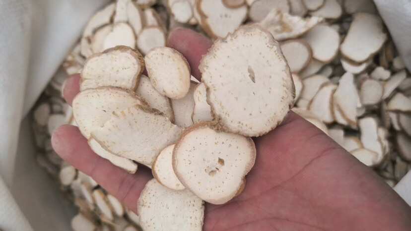 天花粉 质量保证 天花粉 瓜蒌根 假一赔十