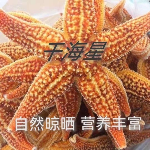日照纯深海新货干海星，大小干海星，海盘车，煲汤滋补泡酒良选