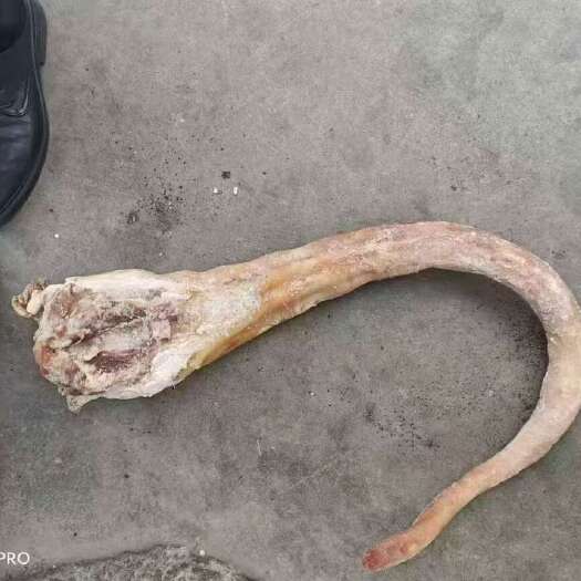 郑州火烧带皮牛尾