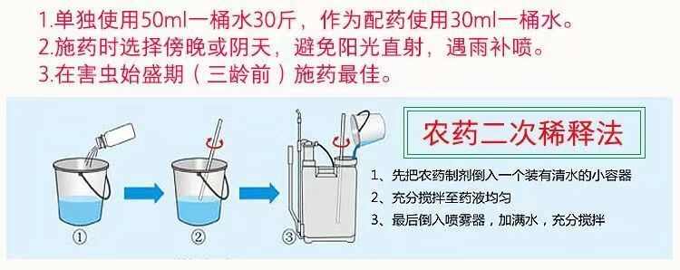 整箱阿维菌素杀虫剂正品红蜘蛛小菜蛾十字花科杀虫剂农用打虫药