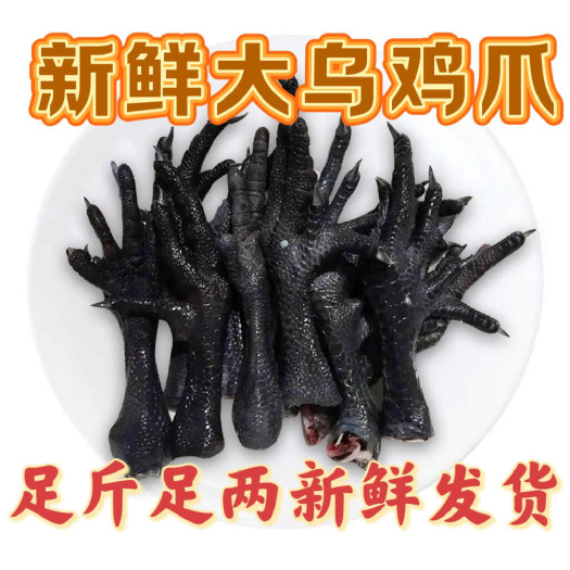 临沂新鲜乌鸡爪生鸡爪土鸡爪散养鸡爪带骨鸡爪黑鸡爪乌鸡大鸡爪