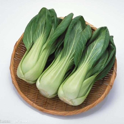 佛山上海青