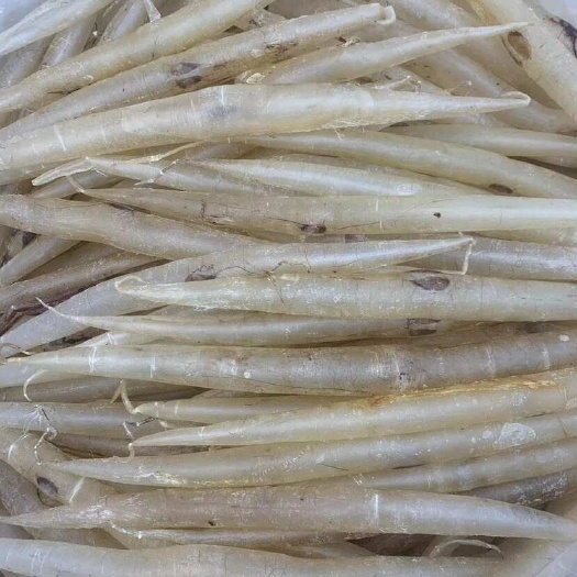 广州花胶鱼胶 鳗鱼胶鳝肚一手货源全国发货量大价优