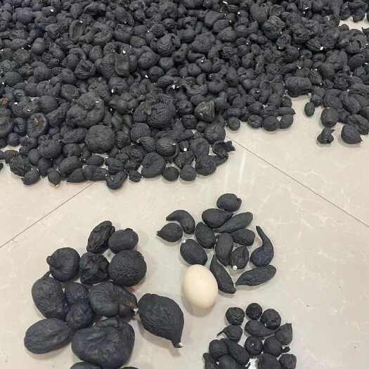 宁明县乌灵参还有九斤存货