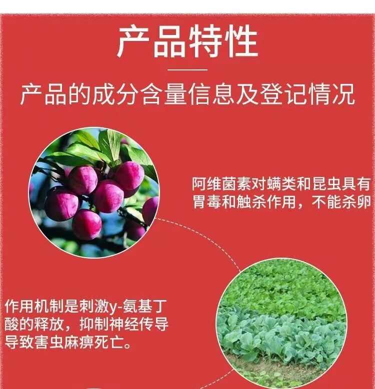 整箱阿维菌素杀虫剂正品红蜘蛛小菜蛾十字花科杀虫剂农用打虫药