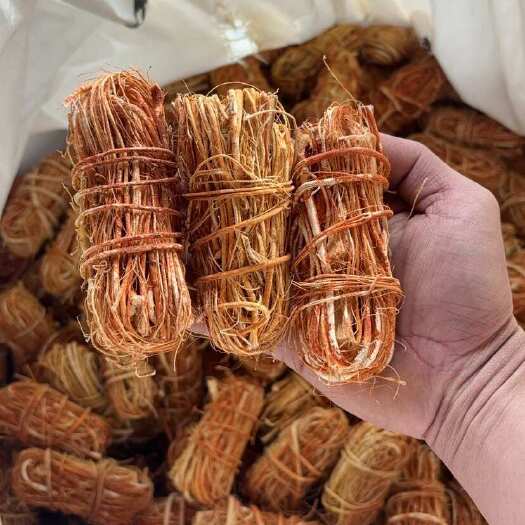 博白县五指毛桃