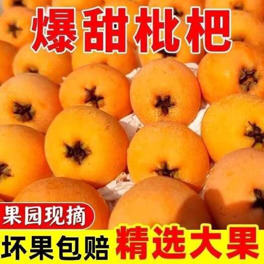 德昌县五星当季枇杷水果孕妇四川整箱四川大凉山高山琵琶现货新鲜