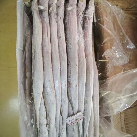 济南新鲜带鱼 济南直发 优质海鲜 冷链配送 厨房优选