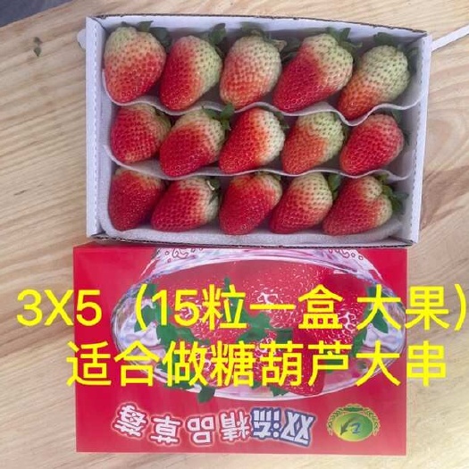 双流草莓云南夏季草莓烘培草莓蛋糕奶茶糖葫芦商用草莓 一件起发