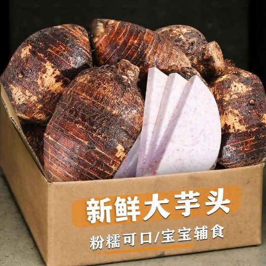 广西桂林大芋头新鲜现挖槟榔芋紫藤香芋头粉糯当季应季批发