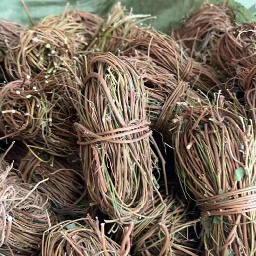 清远鸡骨草