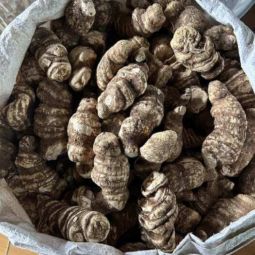 云南滇重楼七叶一枝花现货批发一斤起包邮到家