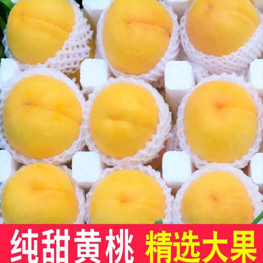 头茬甜黄桃新鲜桃子黄毛桃软糯脆甜当季桃应季水果桃子一整箱