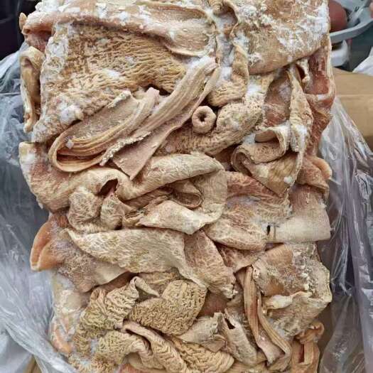 郑州育肥牛大肠