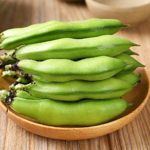 云南高原现摘新鲜青蚕豆荚当季时令蔬菜大量发货中支持一件代发