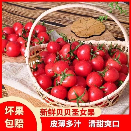 莘县山东贝贝圣女果千禧圣女果釜山88圣女果小番茄青甜2号青口蜜果
