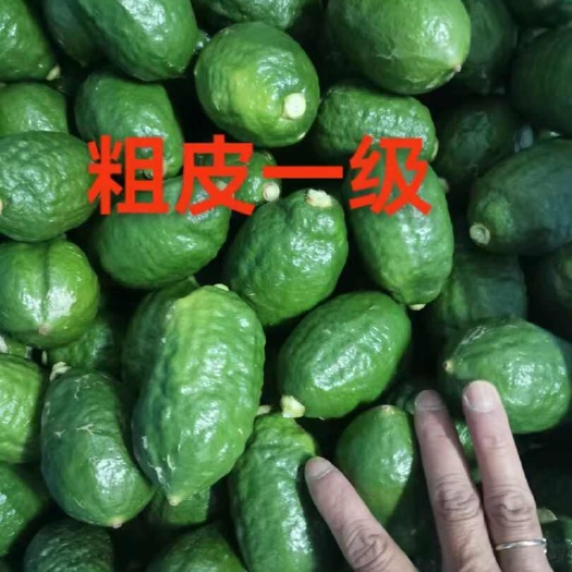 中山市香水柠檬