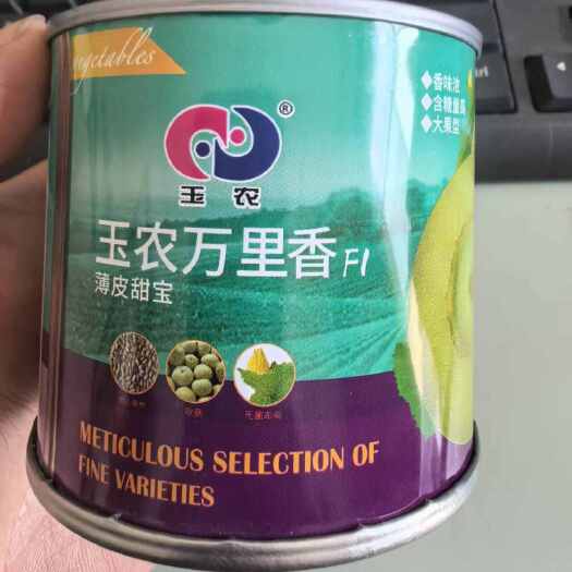 夏邑县玉农万里香薄皮甜宝种子，大果型，香味浓，糖度高