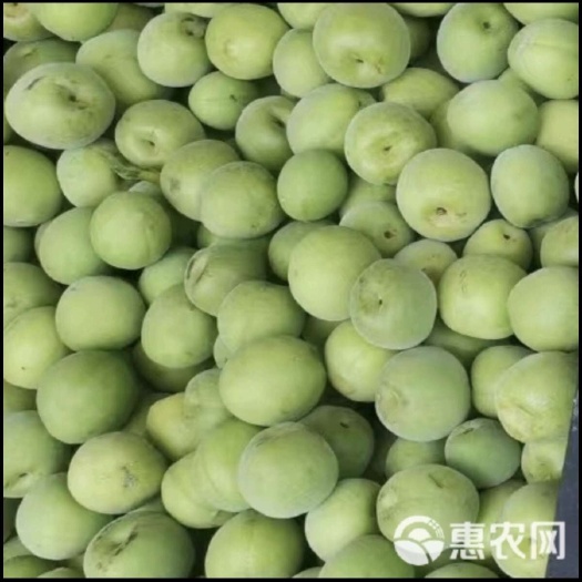 信宜市青梅