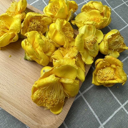 玉林金花茶冻干金花茶大花中花金花茶产地一手货源
