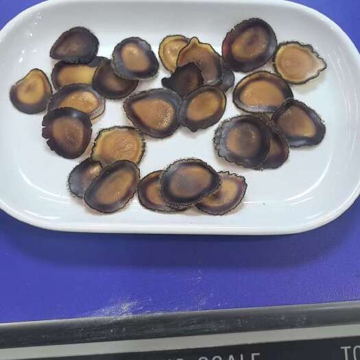 长春长白山鹿茸半腊片全腊片鹿乡本地直发