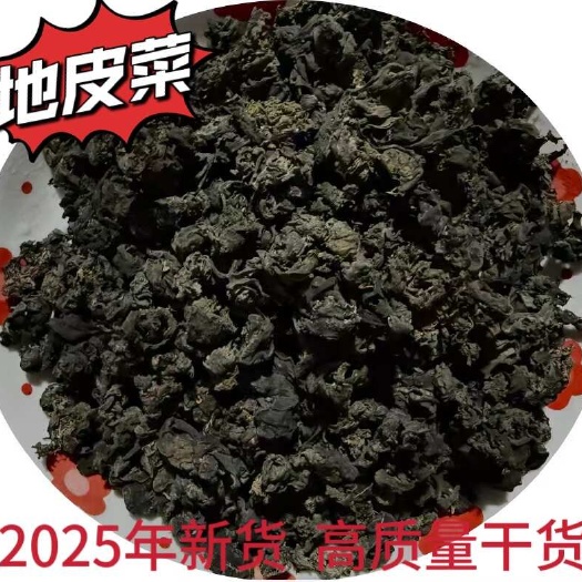 同心县宁夏吴忠新鲜地皮菜 按需定制 物流专线配送 品质保障