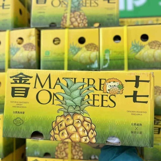 海口顺丰包邮～海南树上自然熟金钻凤梨台农17号