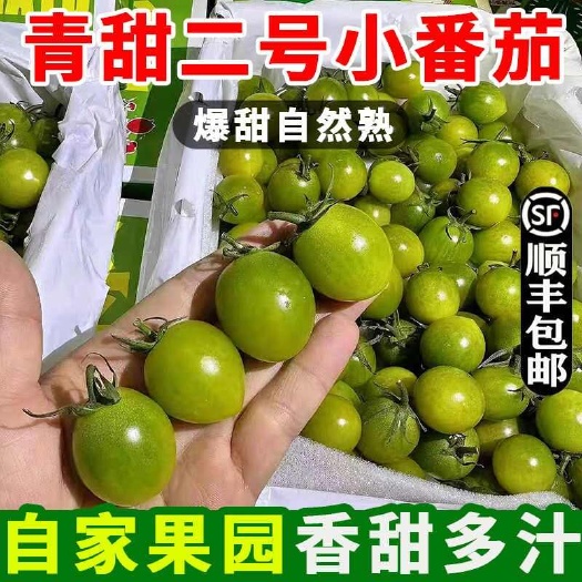 莘县山东莘县康庄青甜2号千禧圣女果青田绿色小番茄青口蜜果贝贝釜山