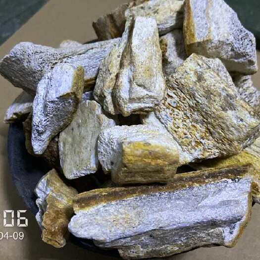 侯马市角龙骨强力吸舌吸湿钙化辨识度高正品保证五花龙骨土龙骨