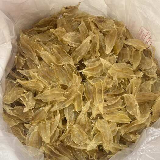 广州鱼胶尖尾母80头