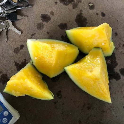 温岭市温岭特小凤西瓜头茌2斤打底