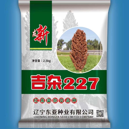 邯郸吉杂227