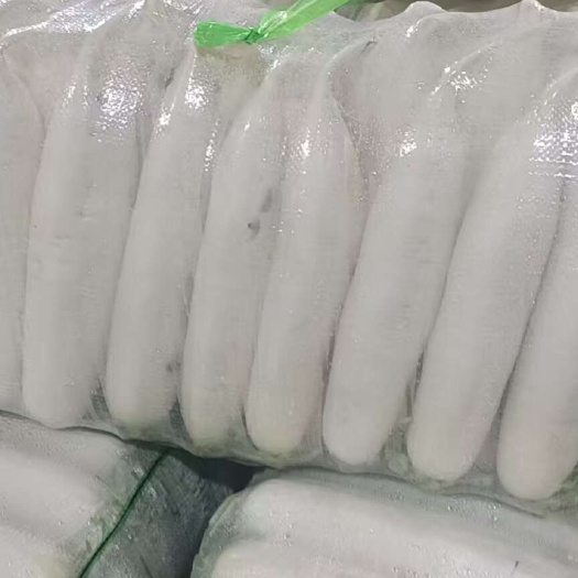 天门市精品白萝卜