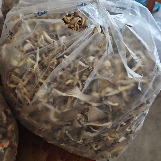 灵璧县干平菇，优质的干蘑菇