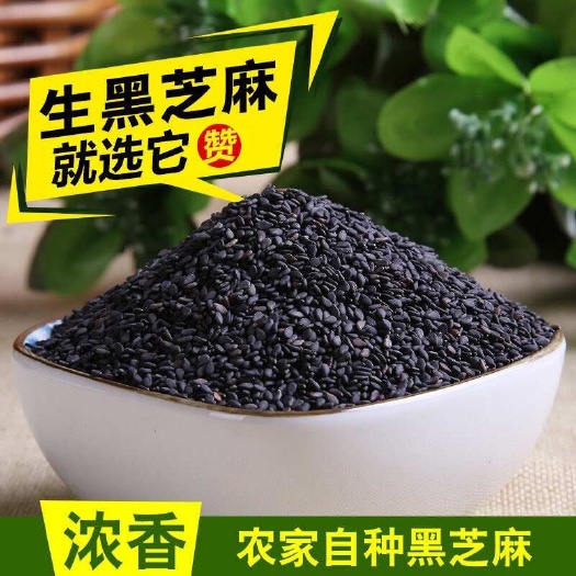 亳州安徽亳州优质黑芝麻 快递物流配送到家 精选油料作物