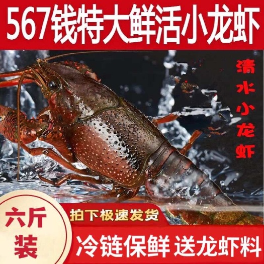 小龙虾
