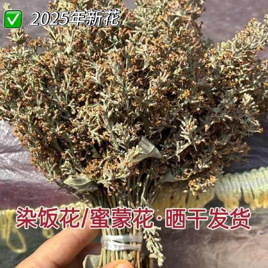 丹寨县贵州丹寨2025新鲜晒干密蒙花染饭花